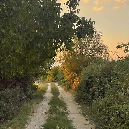 Lodge Evergreen Escape In *