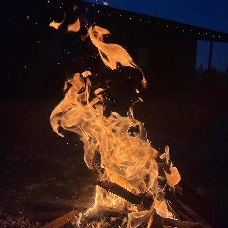 Evergreen Escape In *