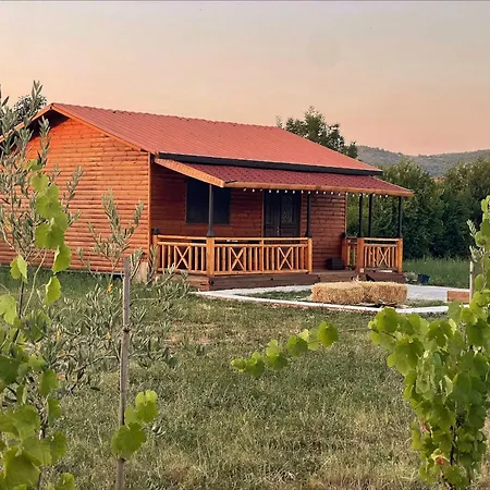 Lodge Evergreen Escape In *