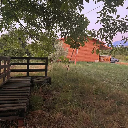 Evergreen Escape In Berat