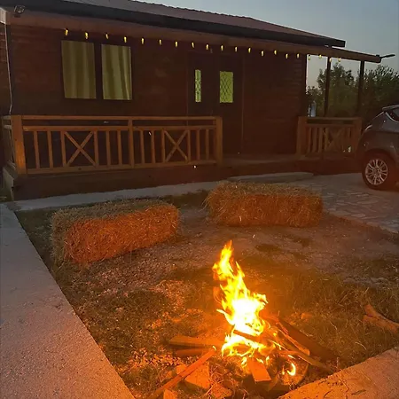 Evergreen Escape In Lodge *