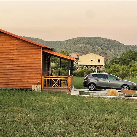 Evergreen Escape In Lodge