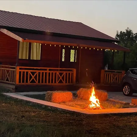 Evergreen Escape In *