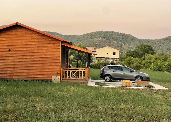 Evergreen Escape In Hytte