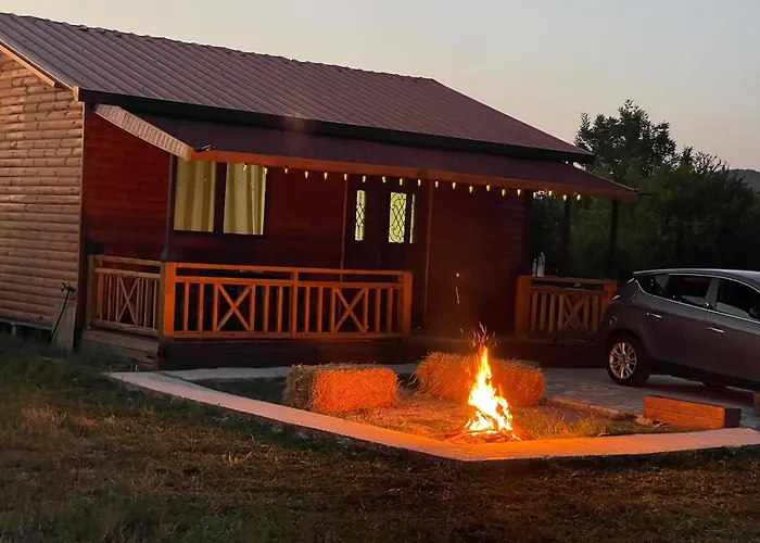 Evergreen Escape In *